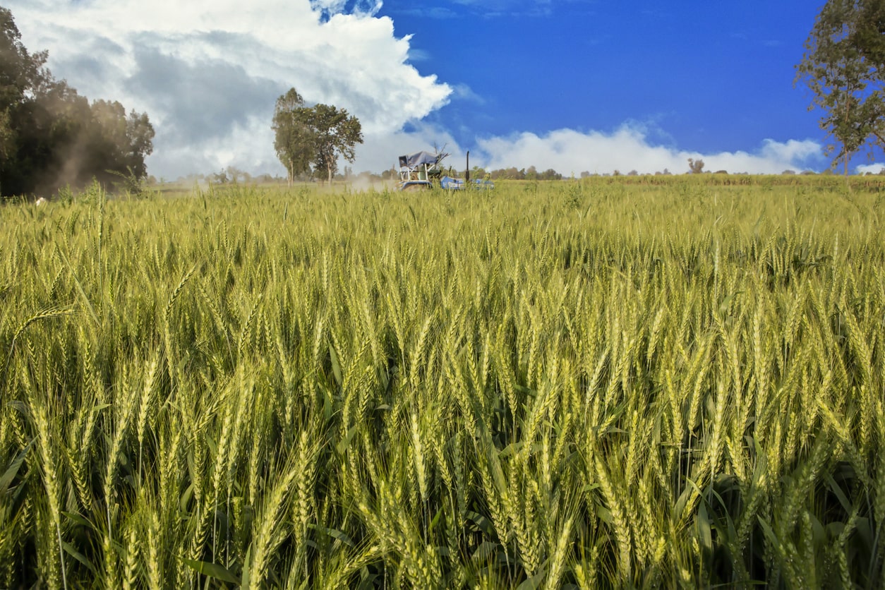 KMB Properties estate plot with landscaping